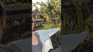 Download lagu Bagaikan langit di sore hari Berwarna biru, sebiru hatiku Menanti kabar yang aku tunggu... #chillout mp3 Download lagu Bagaikan langit di sore hari Berwarna biru, sebiru hatiku Menanti kabar yang aku tunggu... #chillout mp3