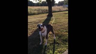 Happy Juno September 2014