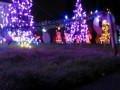 Cornelius Christmas Lights Contest 2010