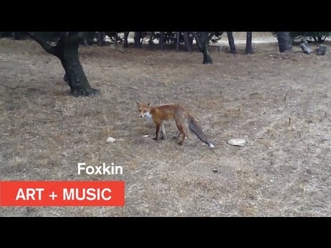 Tracey Emin/Harper Simon - FoxKin - Art + Music - MOCAtv