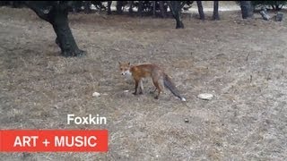 Tracey Emin/Harper Simon - FoxKin - Art + Music - MOCAtv