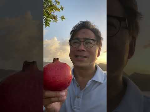 The Powerful Health Benefits of Pomegranates | Dr. William Li