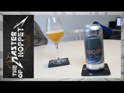 Monkish / Other Half JFK 2 LAX In The Clouds | TMOH - Beer Review #2983