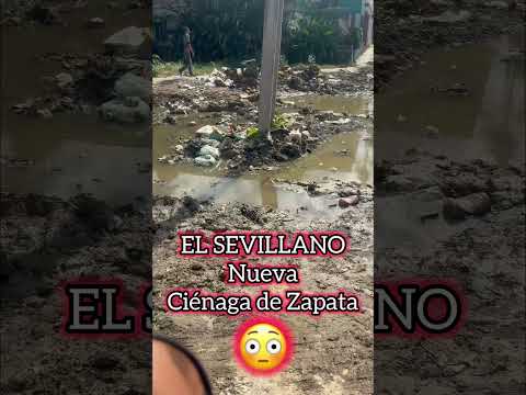 Ciénaga de zapata en el sevillano la habana #daudineo