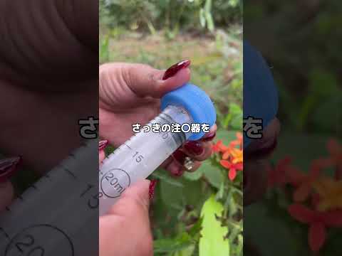 世界でバズった最強のDIY手法がヤバすぎたので解説。