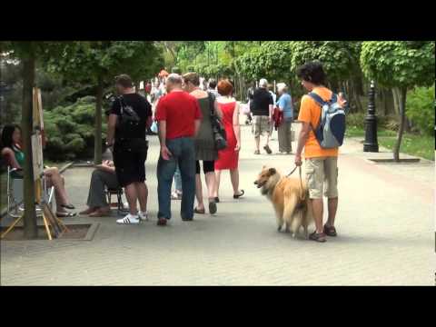 Spacer po Ciechocinku.