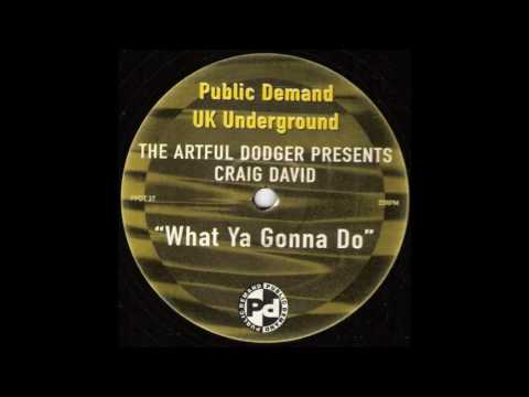 The Artful Dodger - What Ya Gonna Do (Artful Dodger Mix)