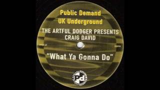 The Artful Dodger - What Ya Gonna Do (Artful Dodger Mix)