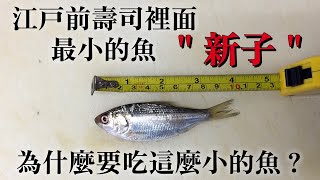 【夏天限定的魚】切魚之後5公分而已!江戶前壽司裡最小的魚"新子"為什麼要吃?就是壽司職人的匠心,解釋江戶時代的習慣跟魚的關係