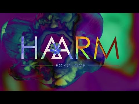 HAARM - 'Foxglove' (Official Video)