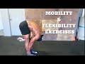 10 Simple Mobility & Flexibility Exercises you should be doing | Improve Mobility and Reduce pain