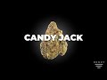 Candy Jack Strain by HONEY