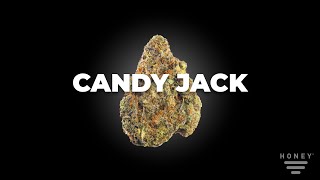 Candy Jack Strain by HONEY