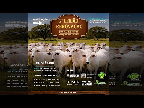 2° Leilão Renovação ( SÃO JOÃO DAS MISSÕES  )