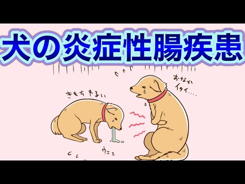 犬のボツリヌス症:症状、診断、治療