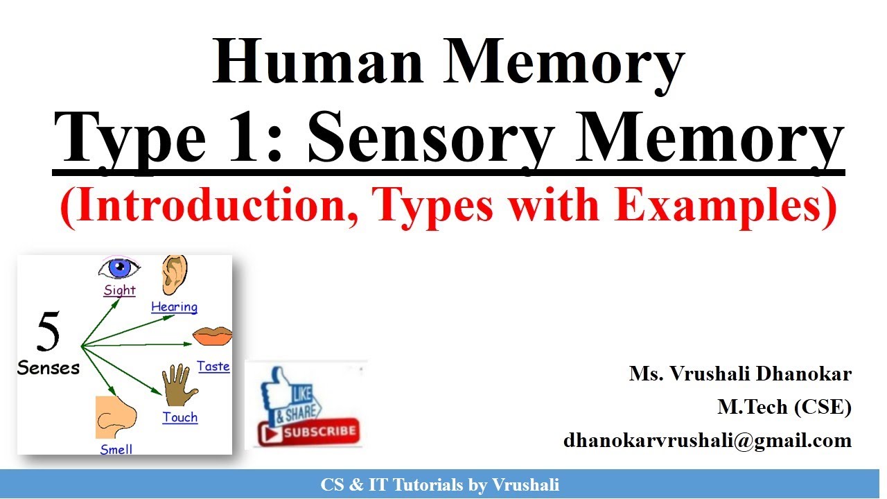 HCI 2.3 Type 1: Sensory Memory (Iconic, Echoic and Haptic Memory) with Examples