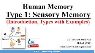 HCI 2.3 Type 1: Sensory Memory (Iconic, Echoic and Haptic Memory) with Examples