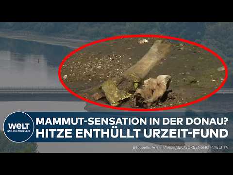 Video Thumbnail: SENSATIONELLER FUND: Hitze enthüllt Geheimnis der Donau! Sind das Knochen eines Mammuts?