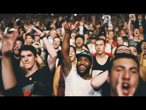 Animal Entertainment