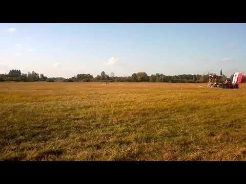 Coursing CCWC Jesienne Grand Prix 28.09.2019