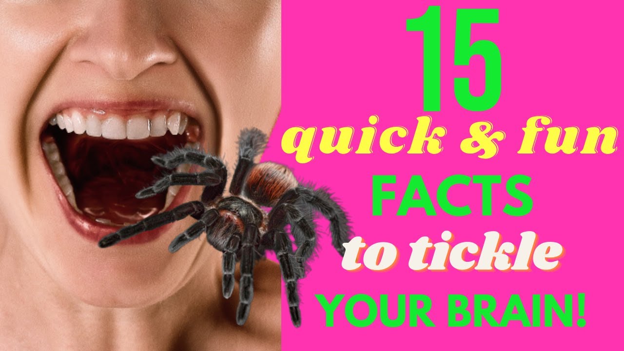 15 Quick and Fun Facts to Tickle Your Brain!