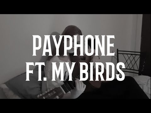 Payphone - Maroon 5 (cover)