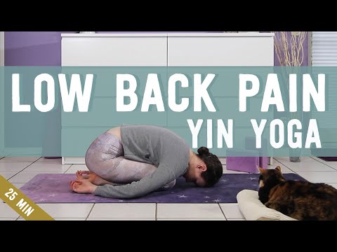 Gentle Beginner Yin Yoga for Lower Back Pain Relief 30 min Full Class