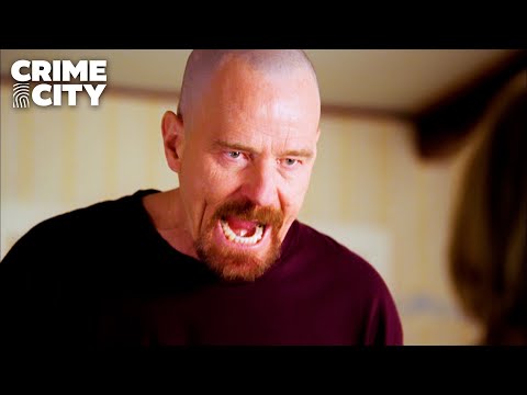 "I Am the Danger" Scene | Breaking Bad (Bryan Cranston, Anna Gunn)