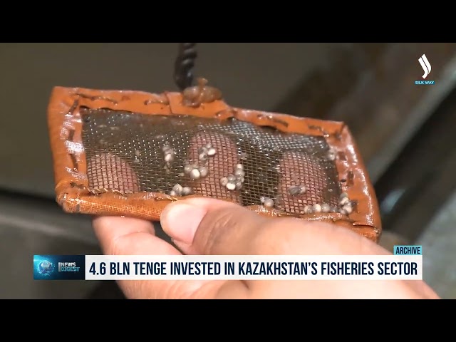 Казакстанда балык чарбасын өнүктүрүүгө 4,6 млрд теңге инвестицияланды