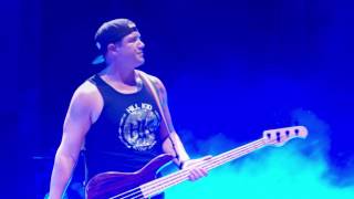 Rebelution - "Fade Away" - Live at Red Rocks