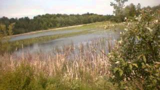 blind boys of alabama, john hammond one kind favor