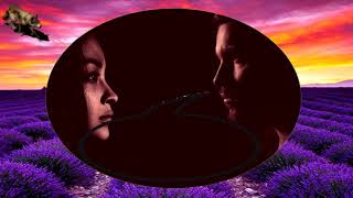 BIJELO  DUGME-ZAZMIRI I BROJ DO STO (TEKST)