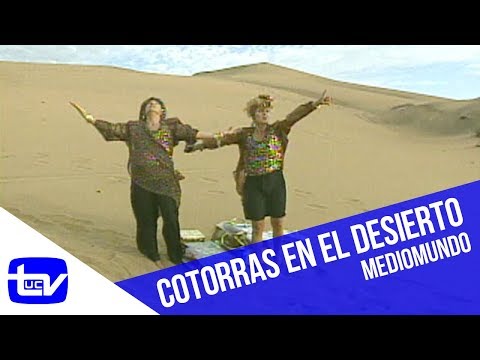 Las cotorras: El desierto | Mediomundo