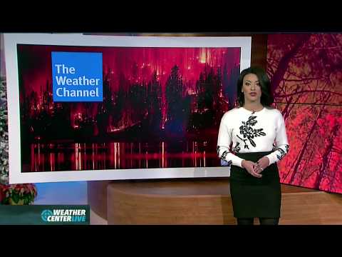 Liana Brackett 12/7/2017