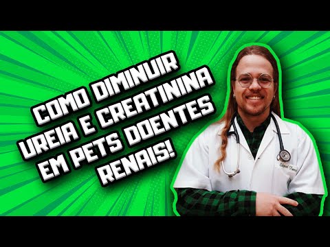 Como diminuir Ureia e Creatinina em Cães e Gatos | Dr Edgard Gomes