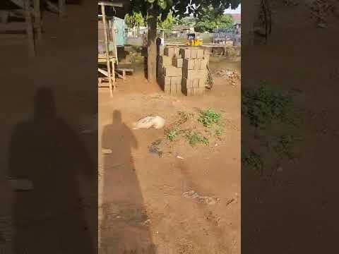 COMPLETE FULL PLOT OF  LAND, @IKOTUN IGANDO ROAD BAKARE BUS STOP