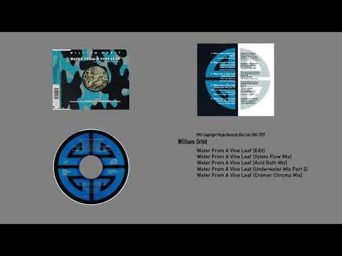 William Orbit - Water From A Vine Leaf 1993