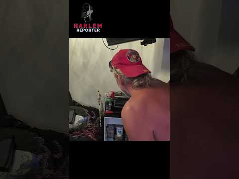 The Struggles We Share | Wigger Tom's Journey - Harlem Reporter