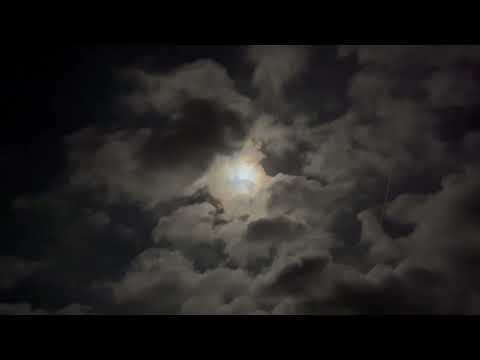 Ormurinn Langi - Krauka