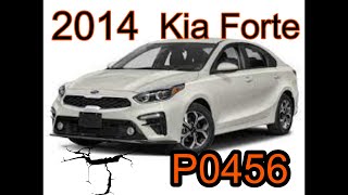 2014 Kia Forte P0456