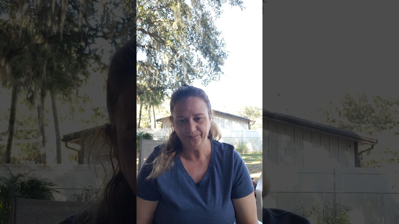 Mock IEP annual review