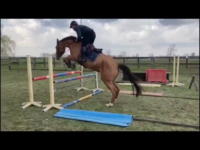 Jumping under the saddle