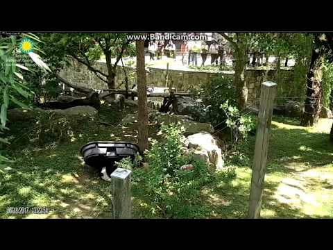 2017.05.18 BEI BEI PLAYING WITH A BLACK TUB