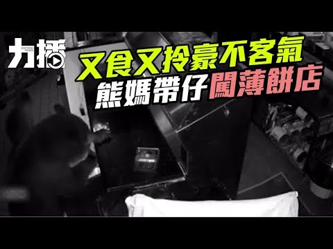 熊媽媽帶埋仔仔夜闖薄餅店開餐 熊媽媽帶埋仔仔夜闖薄餅店開餐