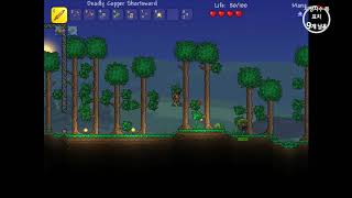 테라리아 그 2번쨰 ~~