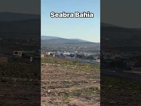 Seabra bahia#viralvideo