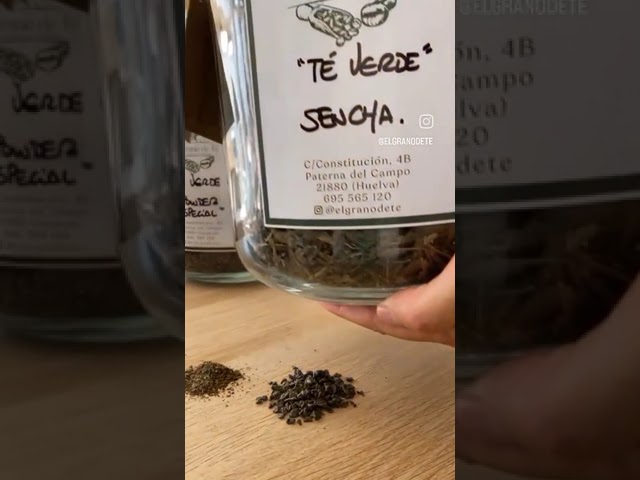 Vídeo relacionado con HANDPICK, Té Verde en Bolsitas - 100 Bolsitas Redondas Ecológicas - Contiene Cafeína - Con Hojas De Te Verde 100% Puras - No-OGM - Sellado al Vacío para Frescura