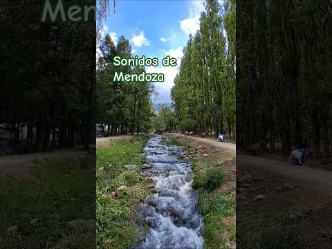 🇦🇷 MENDOZA y sus sonidos 😊 | #tunuyan | #cuyo | #rio | #nature | #mendoza | #argentina | #vacation