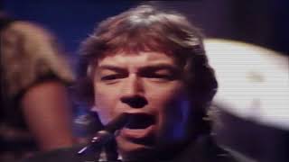 Eric Burdon and The Animals   The Night