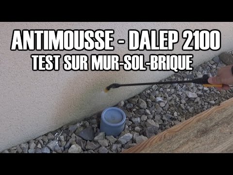 comment appliquer anti mousse
